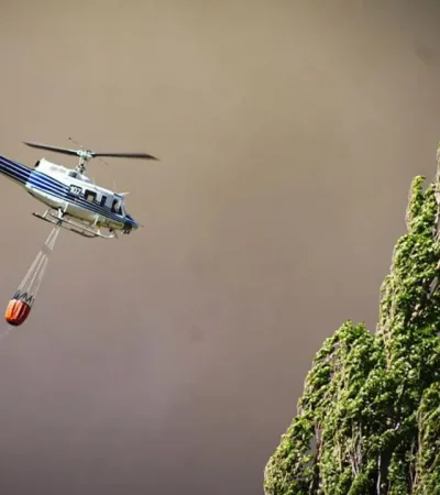 Incendios en Neuquén