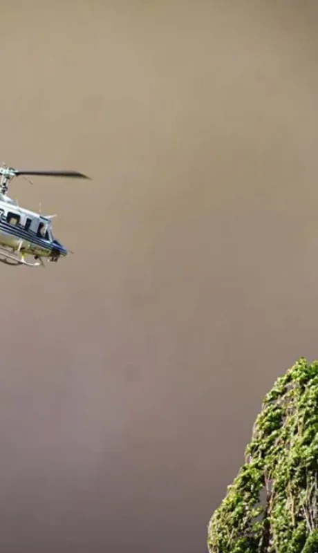 Incendios en Neuquén.