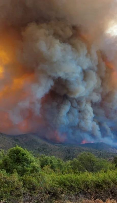Infierno en El Bolsón: el fuego avanza sin control hacia la ciudad