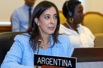 Tras las críticas del exministro, Milei echó a Sonia Cavallo de la embajada ante la OEA