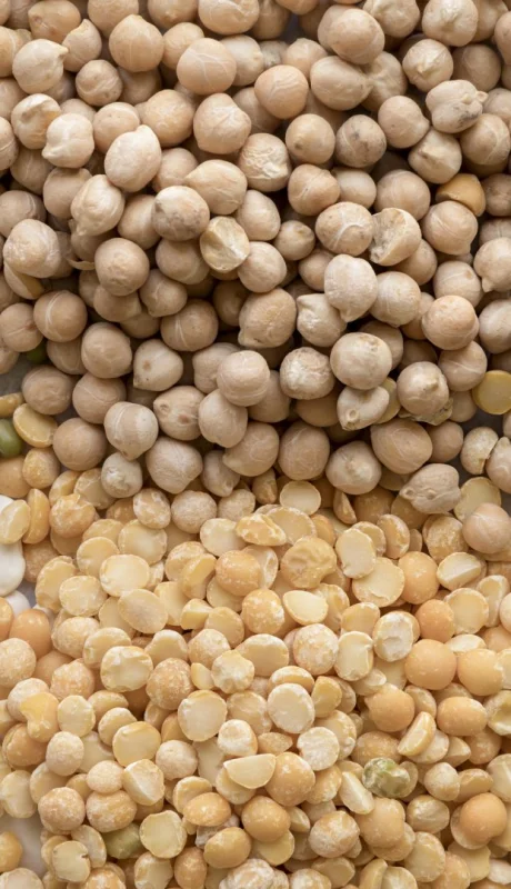 El ABC de los superalimentos que mejoran tu digestión