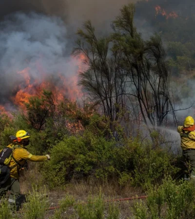 Brigadistas combatiendo el fuego.