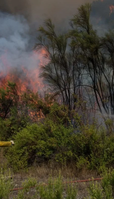 Brigadistas combatiendo el fuego.