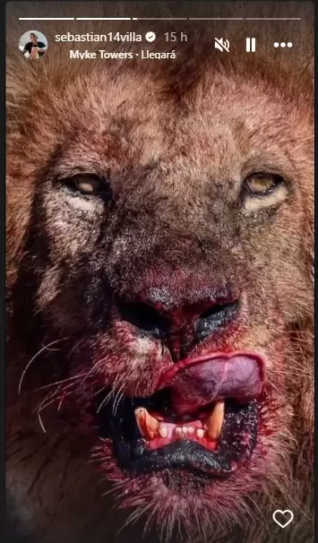 La polémica imagen que publicó Villa en su Instagram