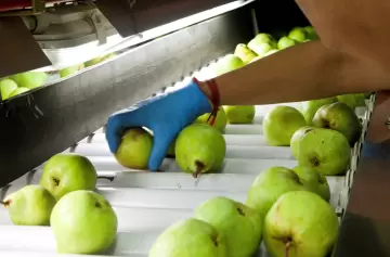 Nuevas regulaciones para la producción y venta de frutas en la Argentina