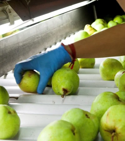 Nuevas regulaciones para la producción y venta de frutas en la Argentina