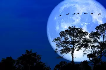 Imperdible llegada de la Luna de Nieve: cuándo y cómo verla