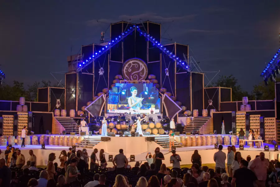 "La Vendimia lleva mucho tiempo, insume mucho esfuerzo. Para asumirlo con responsabilidad hay que estar comprometida" (J. Salazar)