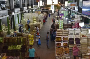 Mercado frutihortícola de Cuyo en vilo: incertidumbre y precios en la cuerda floja