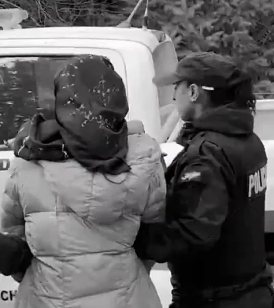 Mapuche detenida