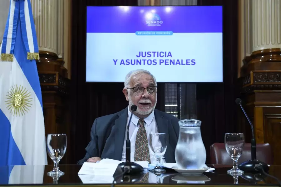 Carlos Pagotto, presidente de la comisión