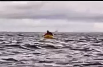 La anécdota de su vida: se lo comió una ballena jorobada y lo escupió