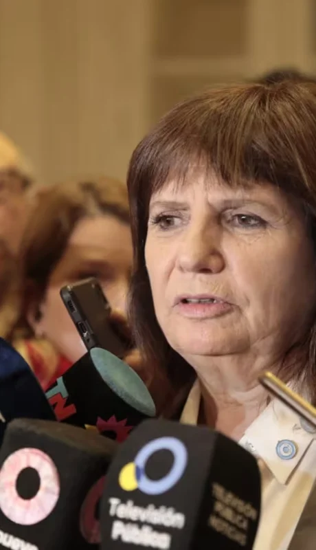 La ministra de Seguridad, dura contra el kirchnerismo. (Foto: archivo web)