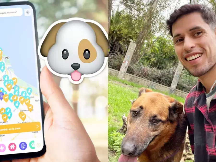 Cada persona ve la foto del animal perdido, y al reportarla puede permitir que sus dueños puedan encontrarlo.