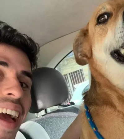 Federico modificó las bases de una aplicación anterior, para adaptarla a los sucesos en la Patagonia.