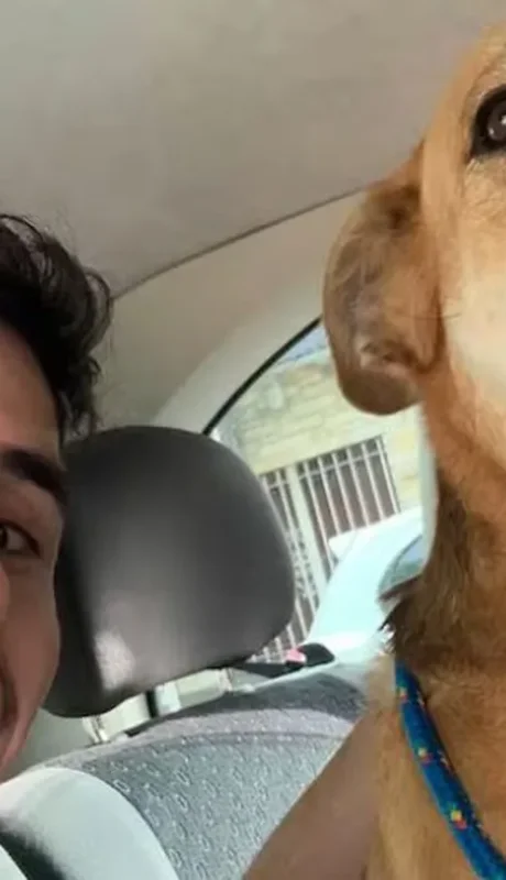 Federico modificó las bases de una aplicación anterior, para adaptarla a los sucesos en la Patagonia.