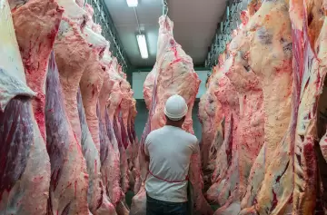 Crece la exportación de carnes pero sigue planchado el consumo interno