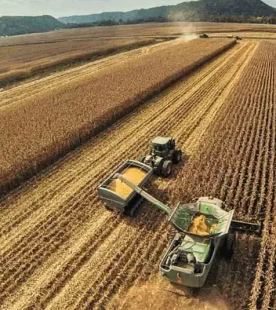 Los precios de los granos fluctúan en forma permanente    /