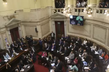 El Senado de la Nación convirtió en ley la suspensión de las PASO