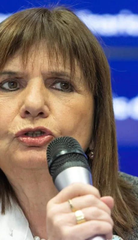 Patricia Bullrich realizó fuertes declaraciónes referidas al grupo RAM/