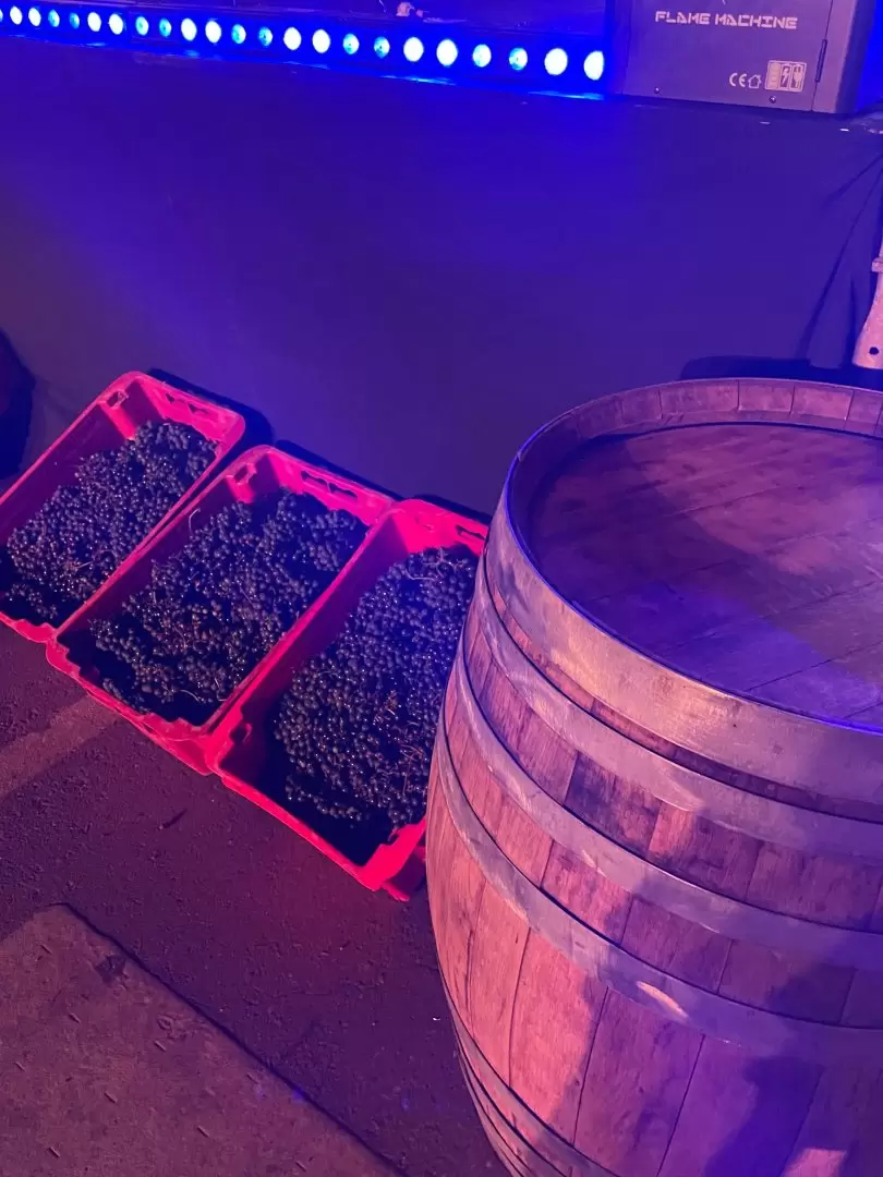 La tradicional Pisada de la Uva.