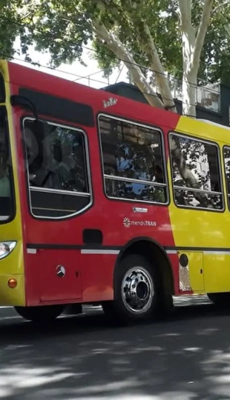 La víctima conducía una unidad del grupo 400. (Foto: web)