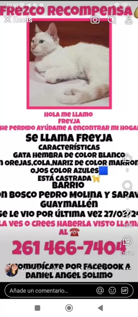 El posteo de la familia Sólimo