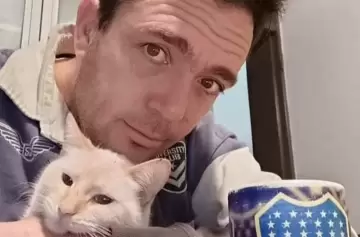 Freija, la gata perdida: la búsqueda incansable de un miembro más de la familia