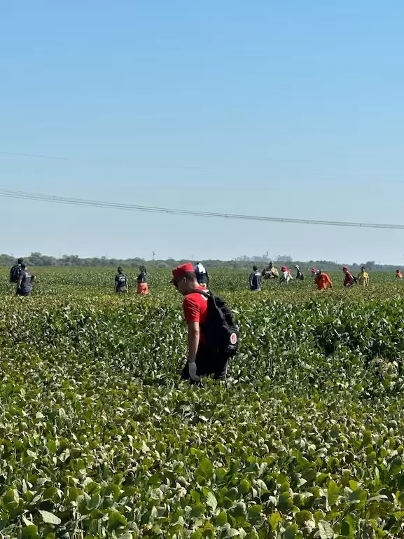 Los investigadores no encontraron nuevas pistas sobre el paradero.
