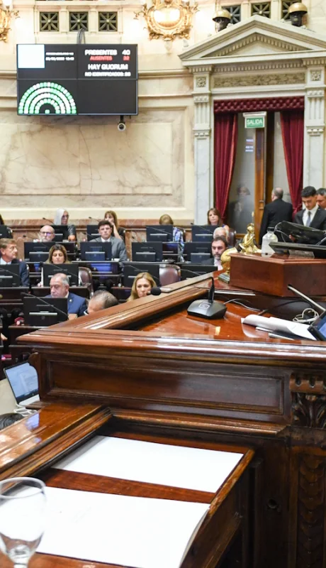 El Senado tiene el pliego de Lijo