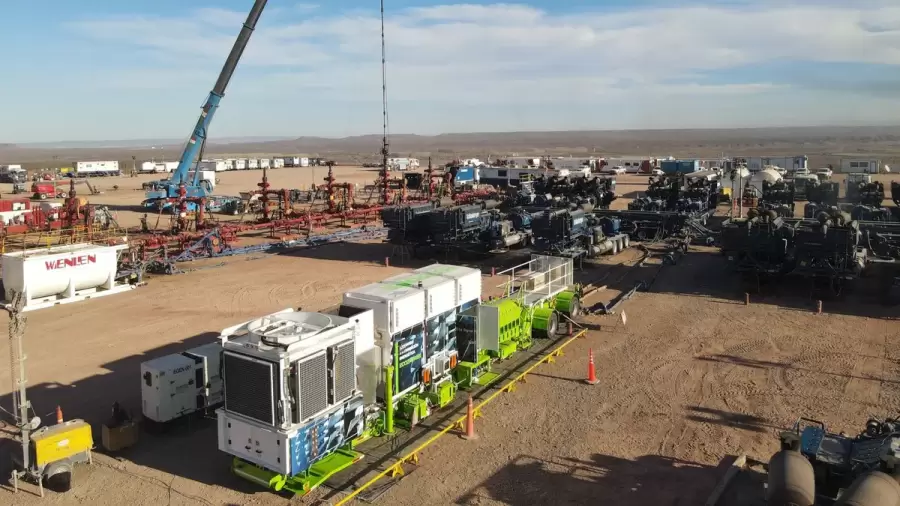 Vaca Muerta salvadora