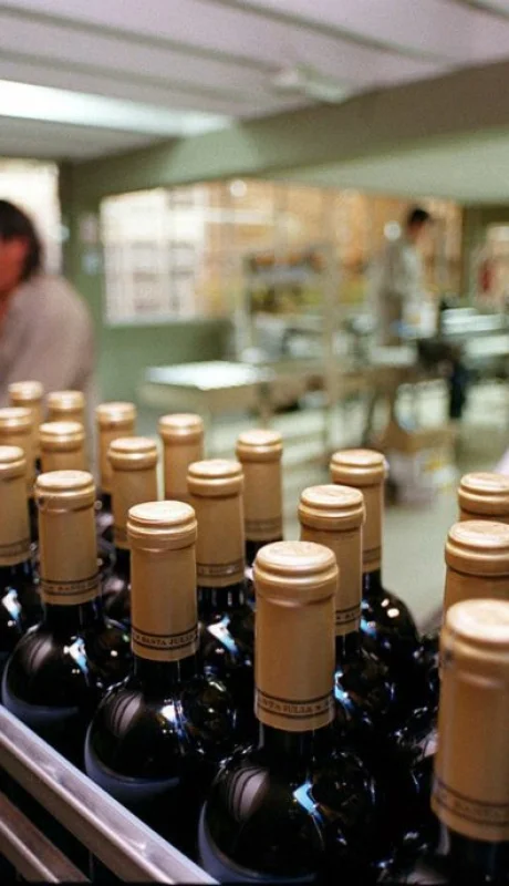 "Los números del 2024 están mejores que los del 2023, pero no tanto con respecto al 2020 o el 2021" (M. di Rocco)