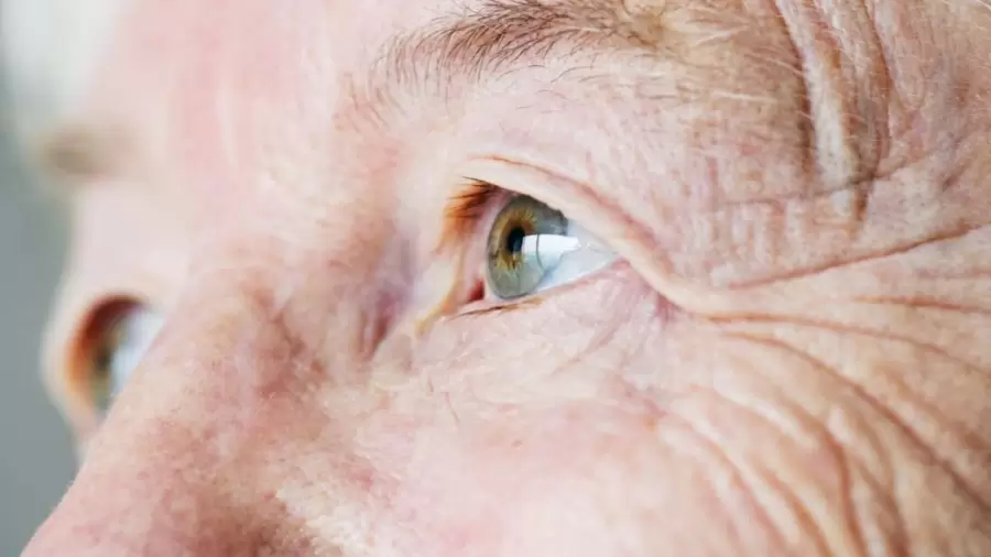 Incorporar luteína, en un plazo máximo de 36 meses, puede mejorar los síntomas relacionados con la degeneración macular, asociada a la edad.