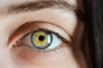 Luteína: el antioxidante que produce tu propio cuerpo y evita sufrir de glaucomas