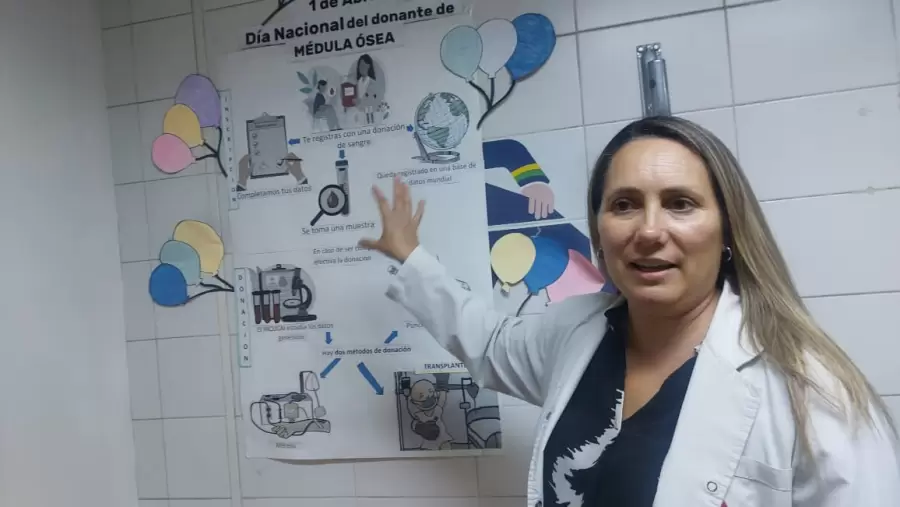 La extracción se puede hacer por dos métodos: por punción, en los huesos de la cadera, o por aparatología.