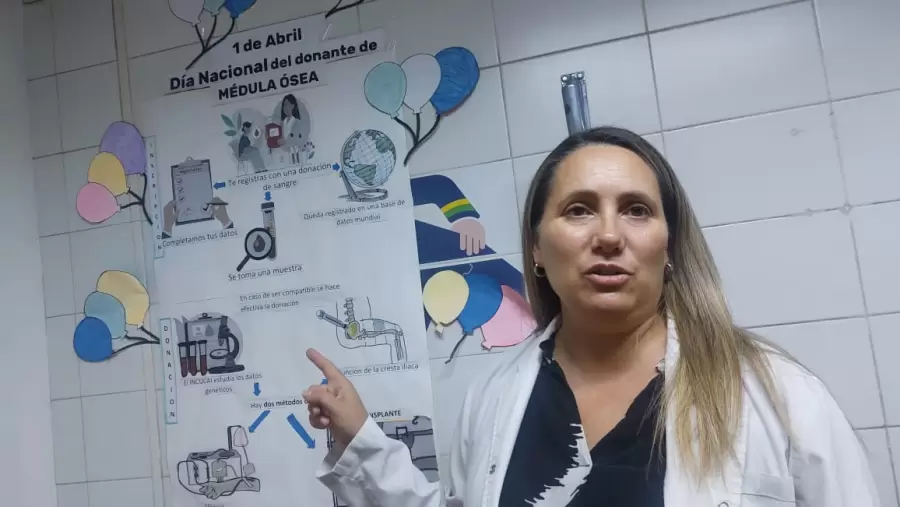 Aquellas personas que padecen cánceres potencialmente mortales, como leucemia, linfoma o mieloma, pueden ser tratadas con un trasplante de médula ósea