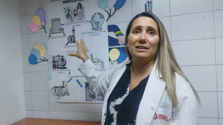 El hecho de donar médula ósea tiene cierto tipo de escollo: la dificultad de encontrar donantes compatibles