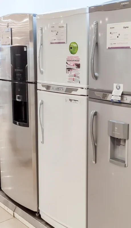 El comercio de electrodomésticos y artículos para el hogar aumentaron.