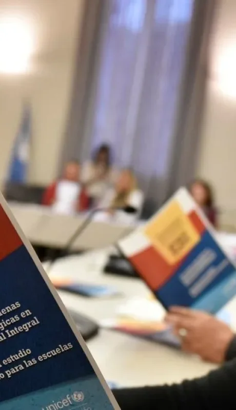 "La ESI aborda temas muy amplios y tienen que ver con valores, con convivencia, con evitar pautas que eviten riesgos en niños" (C. Gannam)