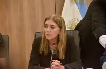 "El Gobierno elige no construir consenso en el Congreso", según la diputada Tavela