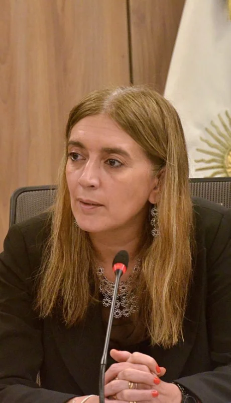 La legisladora nacional radical integra el bloque Democracia Para Siempre. (Foto: archivo web)