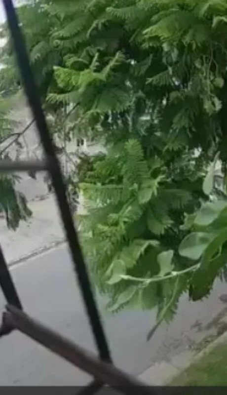 La víctima tenía 21 años y paseaba con su familia en Tortuguitas (Buenos Aires).