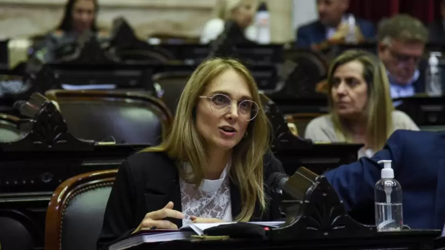 "Los miembros de la Corte son nombrados por el presidente, en momentos en que debería ir acompañado por un cuerpo deliberativo" (G. Brouwer)