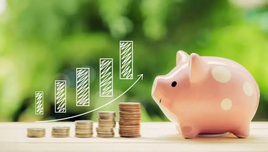 Opciones para hacer crecer el dinero