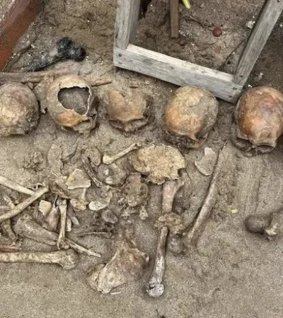 Cráneos encontrados en una vivienda de Pinamar/