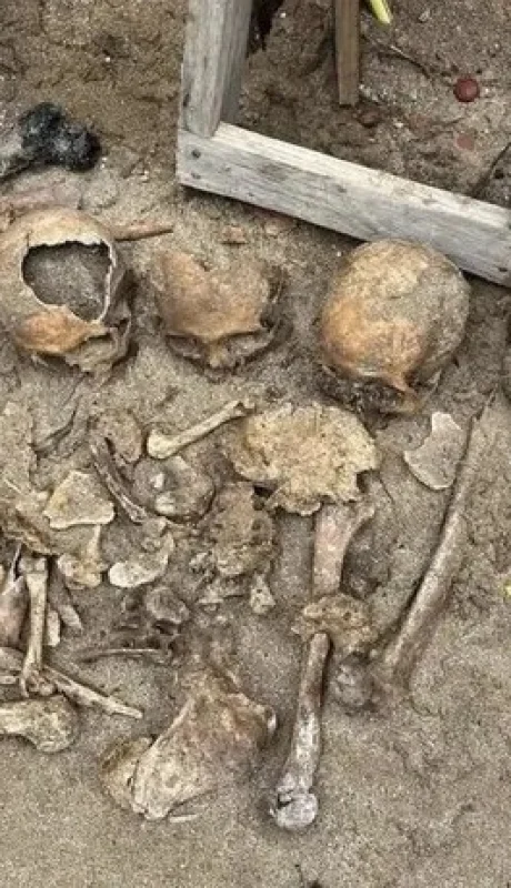 Cráneos encontrados en una vivienda de Pinamar/