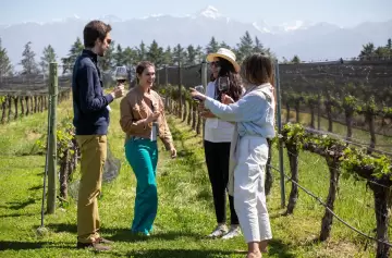 Gran porcentaje de ocupación hotelera en Mendoza