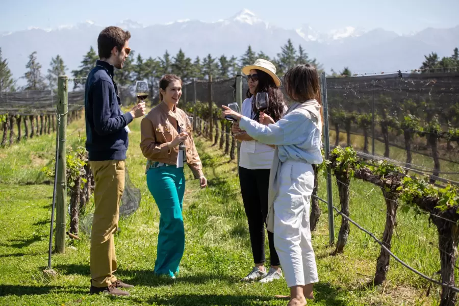El vino siempre es atractivo para los turistas extranjeros en Mendoza/