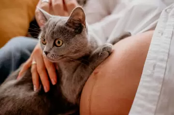 ¿Un gato o un hijo? Asombra la elección de las mujeres argentinas