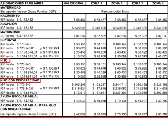 La tabla de SUAF actualizada por ANSES